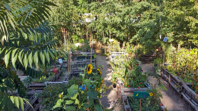 NotkersGartenPM2020 Boxberg