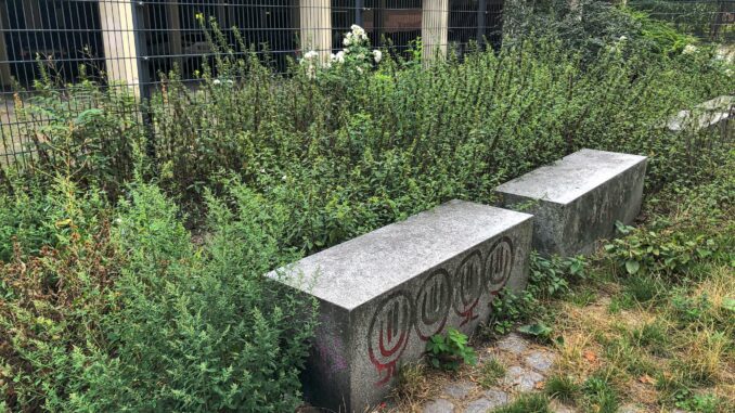 Weiße Rosen Sophe Scholl