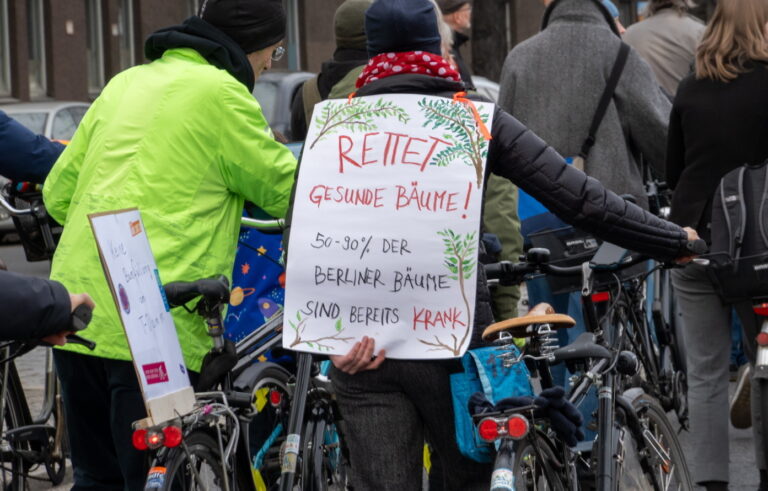 60 Bäume retten: Grünen-Fraktion will Baumfällungen am Tempelhofer Damm noch verhindern